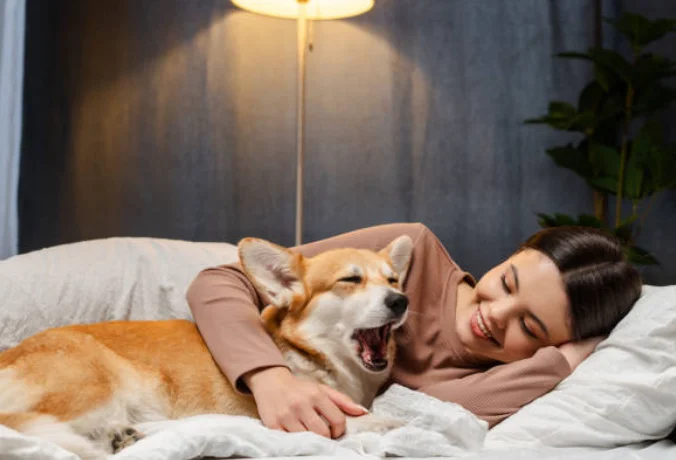 老犬と女性がベッドで寄り添い眠る