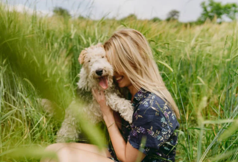 笑顔で愛犬を抱く女性、長毛種、草むら