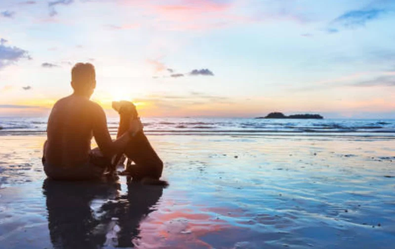海辺で夕日を眺める人々と犬