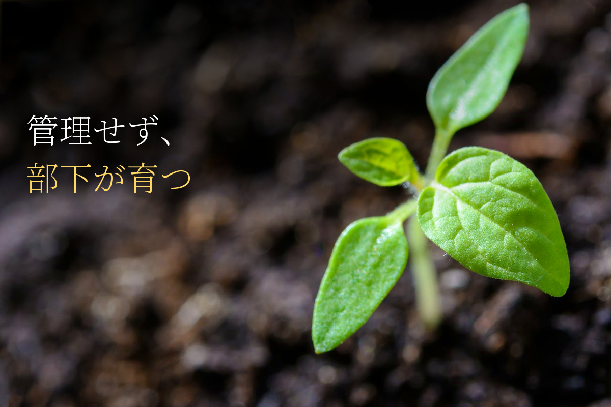 部下が勝手に育つ上司がやっている、たった1つのこと｜アドラー「正しいやり方を見つける」