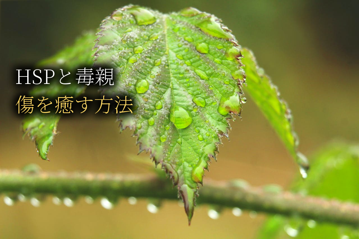 HSPと毒親｜繊細さんが親から受けた傷を癒す方法【中島輝監修】