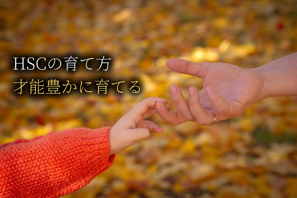 HSCの育て方完全ガイド｜繊細な子どもを愛情豊かに育てる【中島輝監修】
