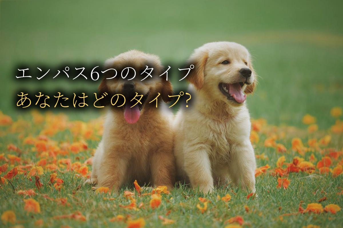 エンパス6つのタイプ完全解説｜あなたはどのタイプ?【中島輝監修】