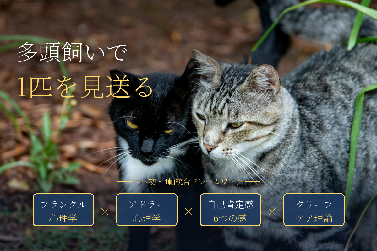 多頭飼いで、1匹を見送るということ——残された子と、あなたの心