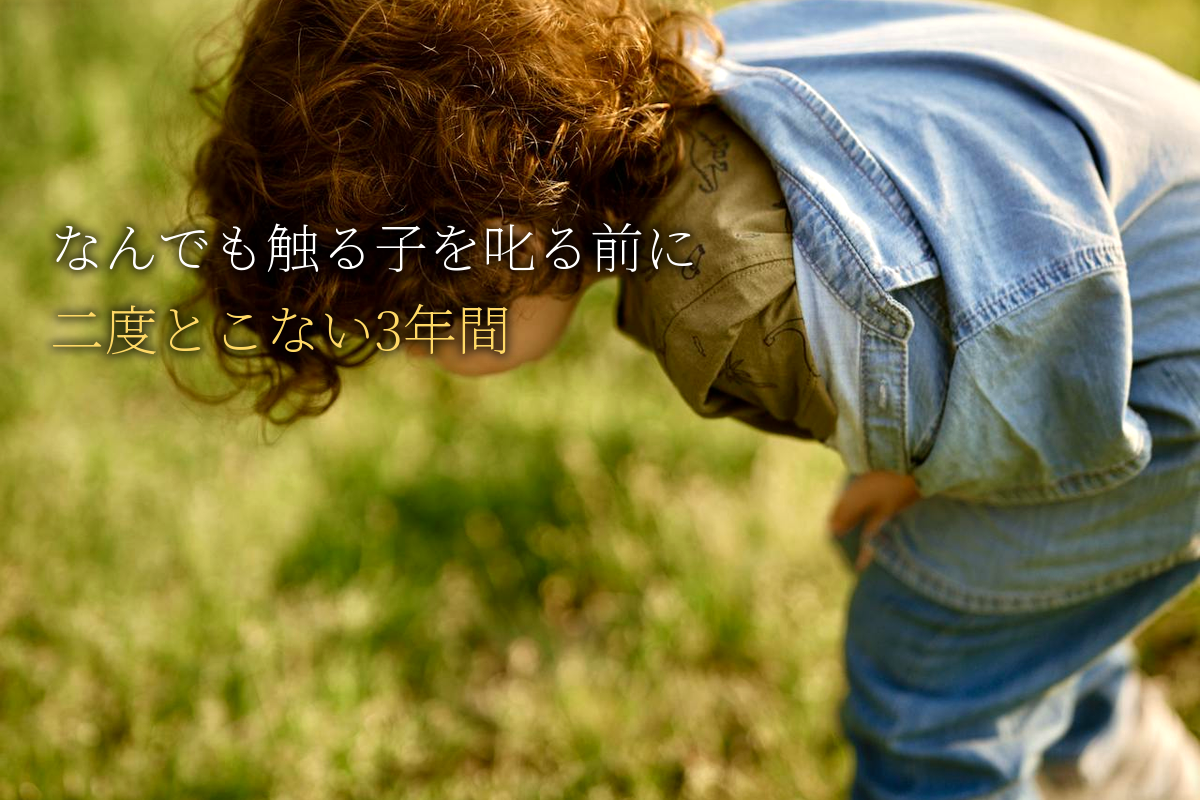 なんでも触る子を叱る前に｜二度とこない敏感期の3年間【中島輝監修】