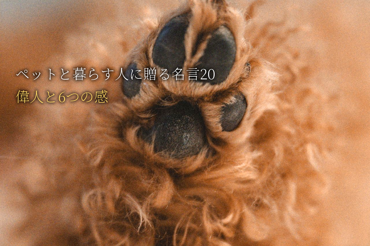 ペットと暮らす人に贈る｜自己肯定感が高まる名言20｜世界の偉人と6つの感