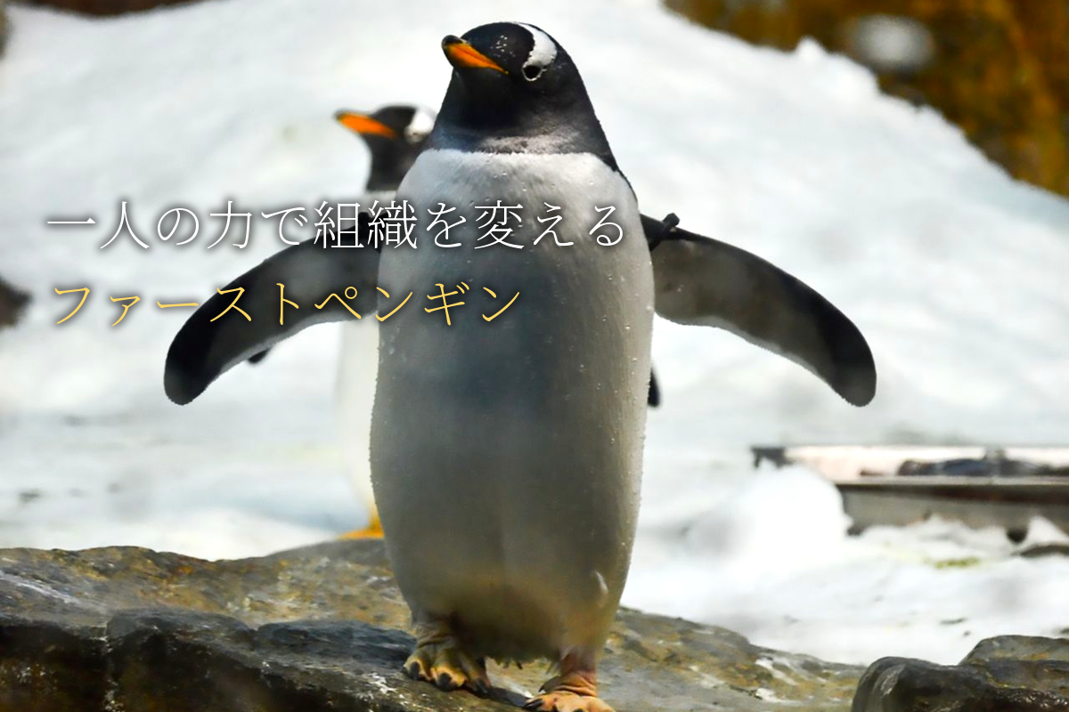 一人の力で組織を変える「ファーストペンギン」になる勇気の作り方