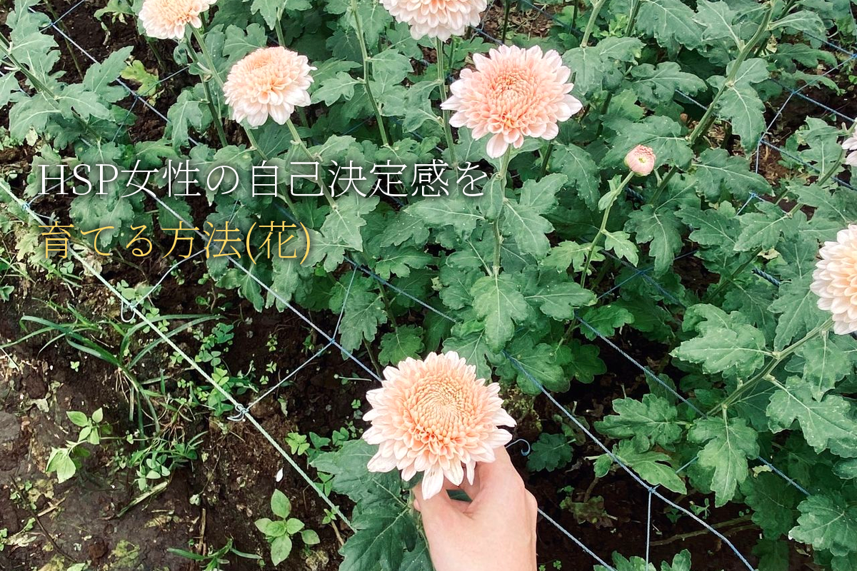 HSP女性の自己決定感を育てる方法(花)