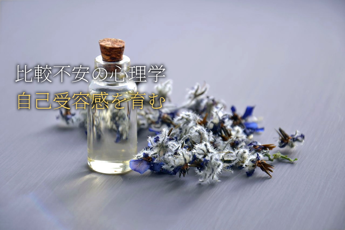 比較不安×自己受容感の心理学【中島輝監修】
