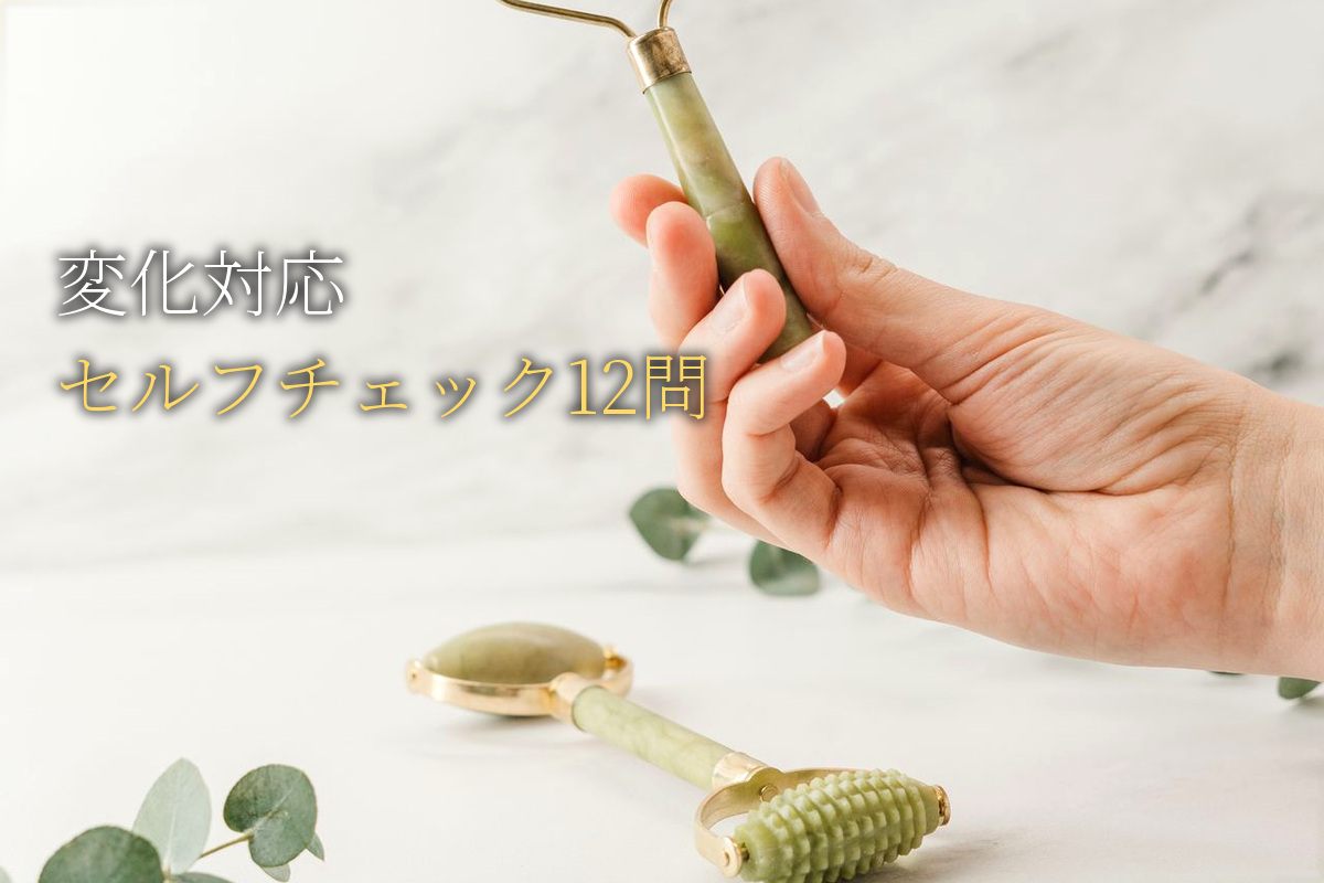 変化対応セルフチェック12問編【中島輝監修】